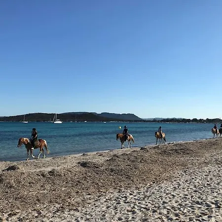 Petite A 300m De La De Saint Cyprien Lecci