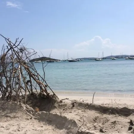 Petite A 300m De La De Saint Cyprien