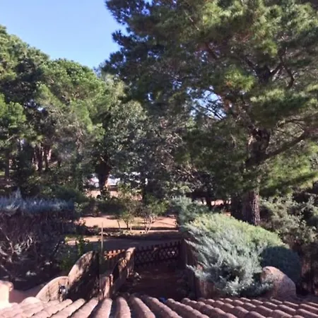 Petite A 300m De La De Saint Cyprien Lecci
