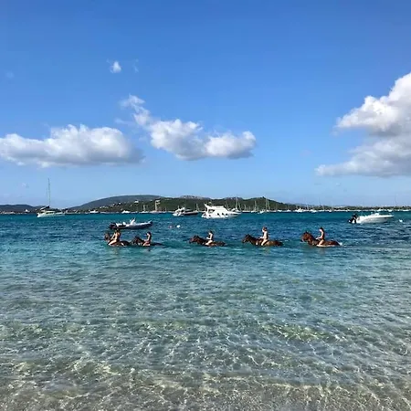 Petite A 300m De La De Saint Cyprien