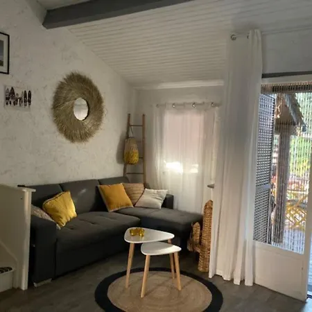 Petite A 300m De La De Saint Cyprien Holiday home